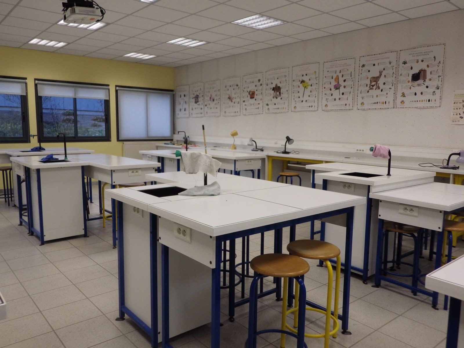 Laboratoire n°2